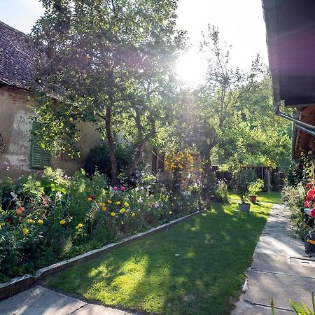 Villa Rihuini Eco Wine House Transylvania Richisu Buitenkant foto