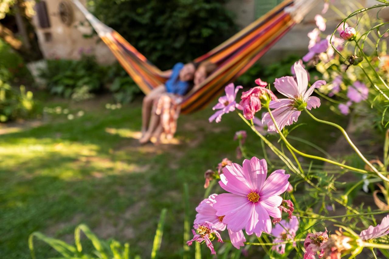Villa Rihuini Eco Wine House Transylvania Richisu Buitenkant foto