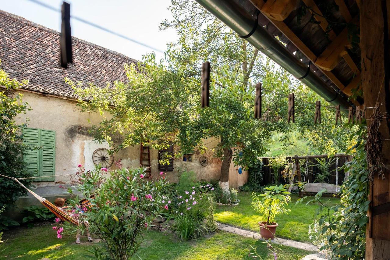 Villa Rihuini Eco Wine House Transylvania Richisu Buitenkant foto