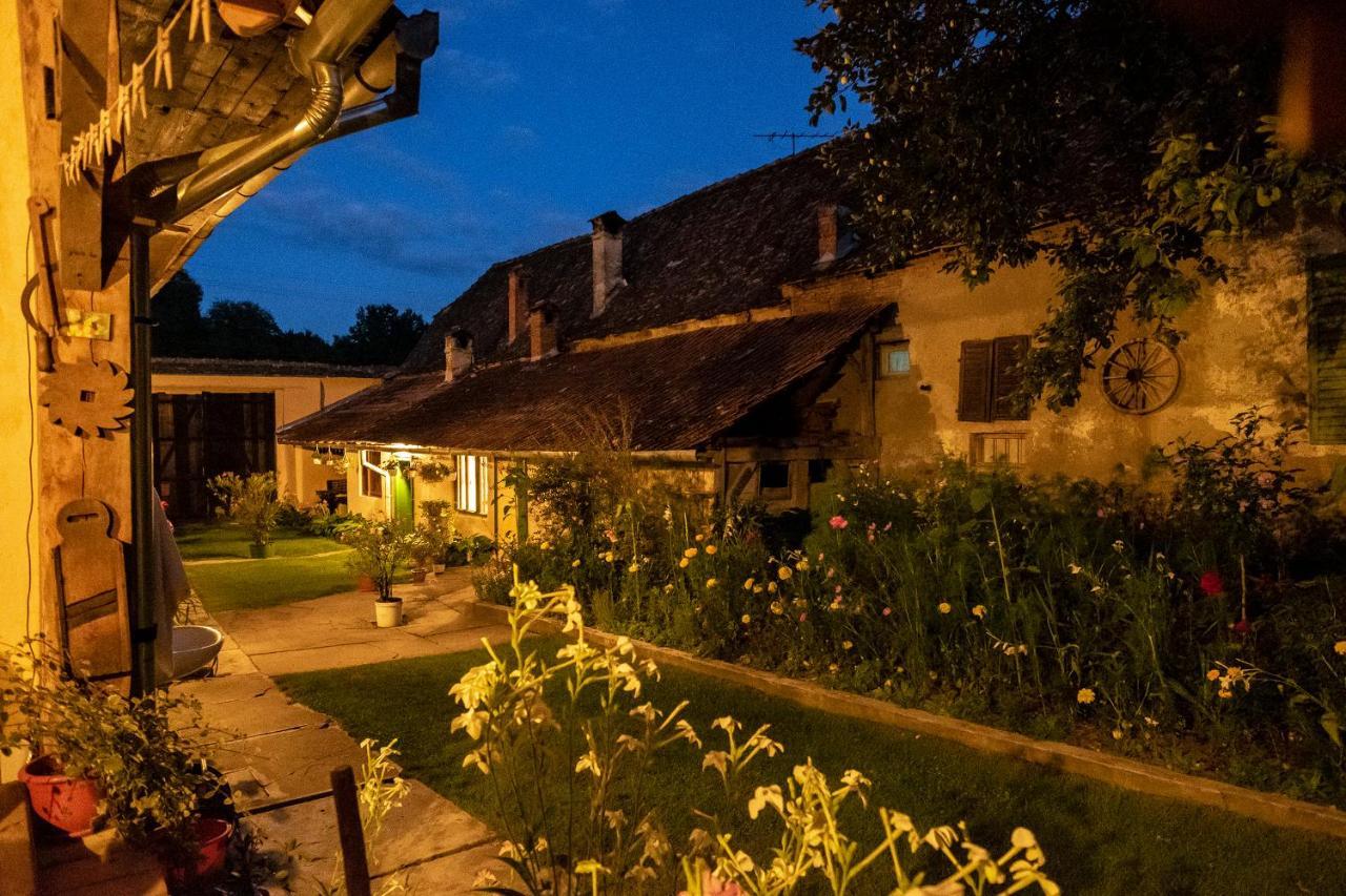 Villa Rihuini Eco Wine House Transylvania Richisu Buitenkant foto