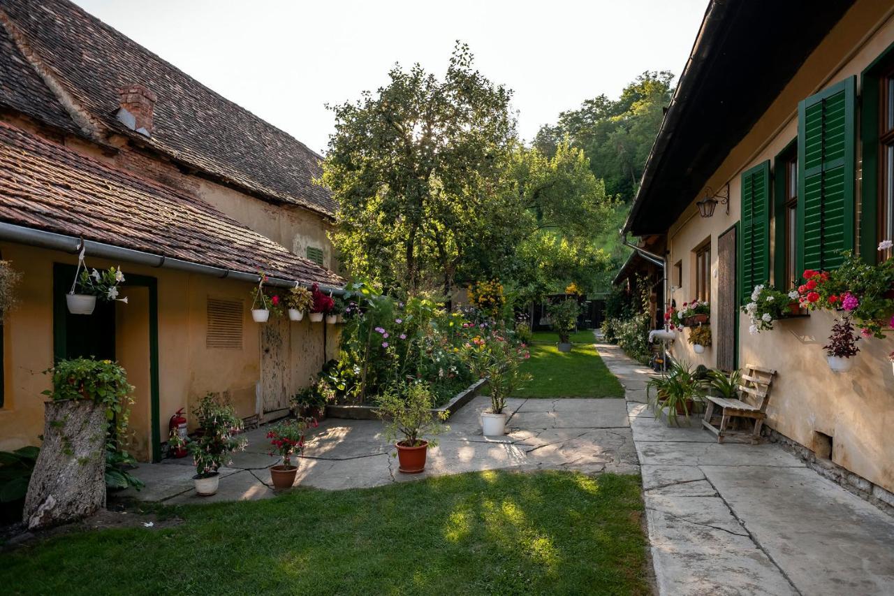 Villa Rihuini Eco Wine House Transylvania Richisu Buitenkant foto