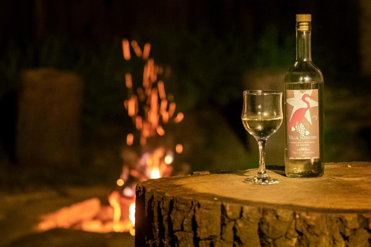 Villa Rihuini Eco Wine House Transylvania Richisu Buitenkant foto