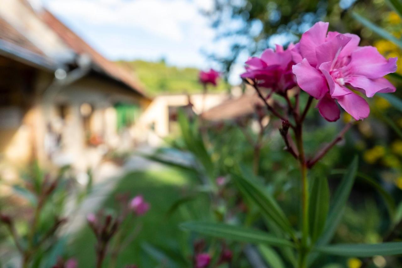 Villa Rihuini Eco Wine House Transylvania Richisu Buitenkant foto