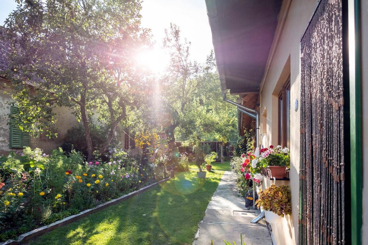 Villa Rihuini Eco Wine House Transylvania Richisu Buitenkant foto
