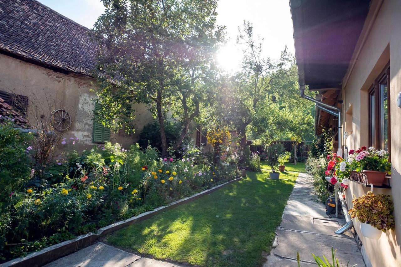 Villa Rihuini Eco Wine House Transylvania Richisu Buitenkant foto